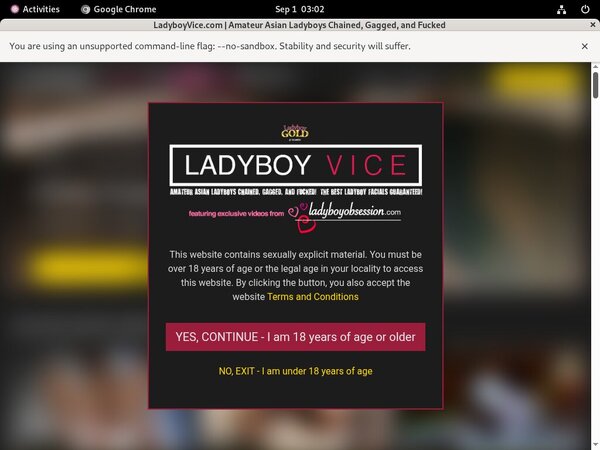 Active Ladyboy Vice Passwords