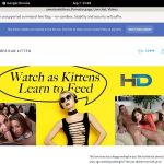 Americankittens Free Trial Link