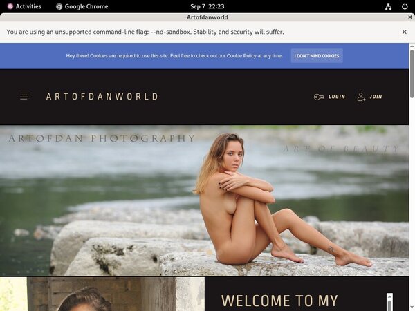 Artofdanworld Newest