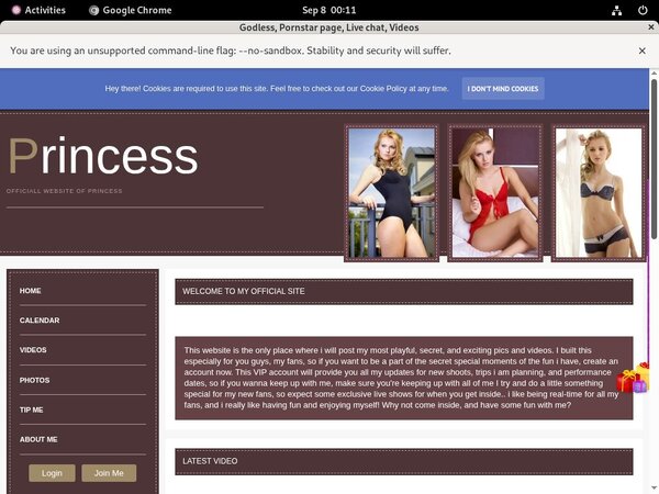 Cardboard.modelcentro.com Discounted
