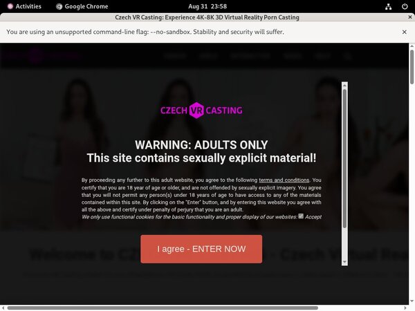 Czechvrcasting.com Using Pay Pal
