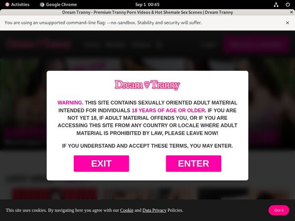 Dream Tranny Segpayeu Com