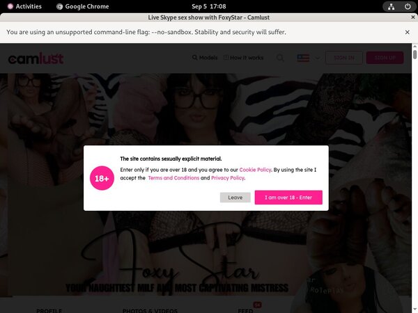 Foxy Star Premium Passwords