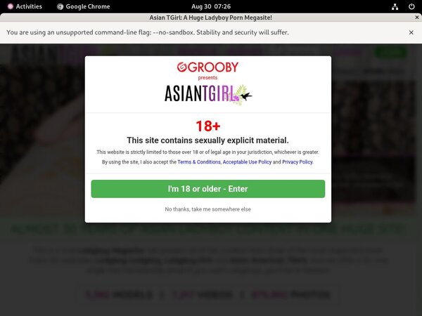 Free Ladyboy Ladyboy Movies