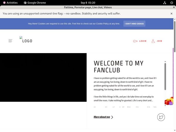 Free Logins For Fattima.modelcentro.com