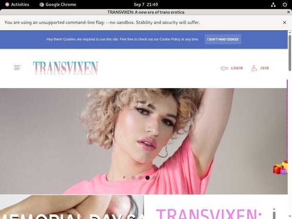 Free Password To TransVixen