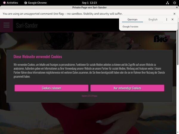 Free SariSander Codes