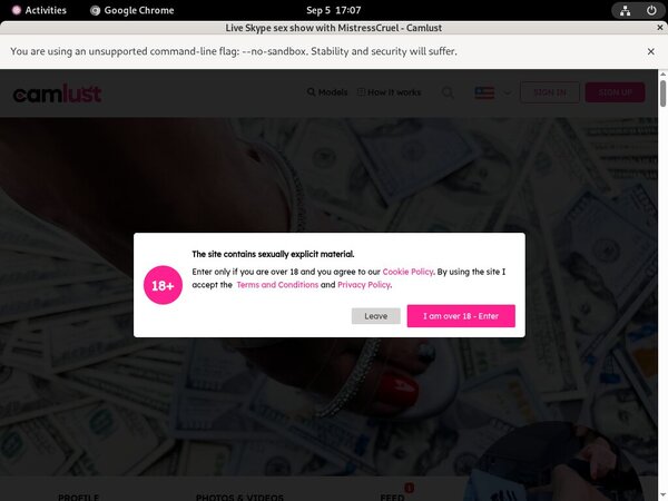 Free Working Camlust.com Logins