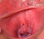 Gapemypussy.com Acc Free