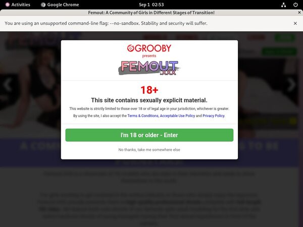 Get Free Femout XXX Logins