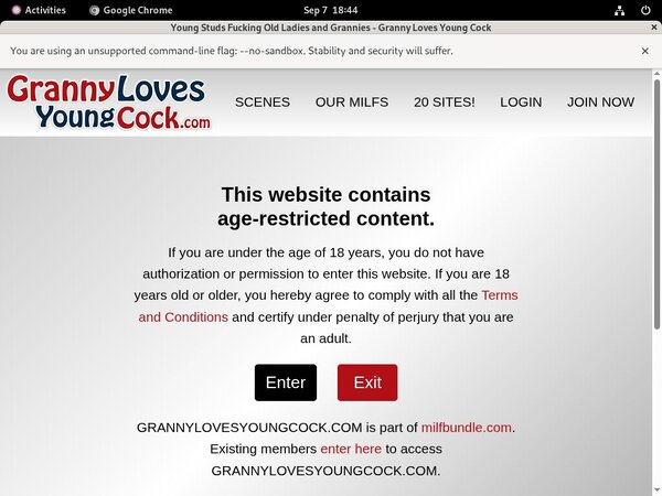 Granny Loves Young Cock Hd Video