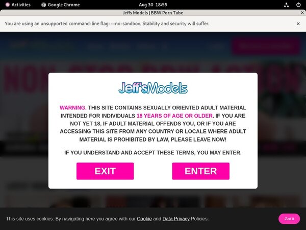 [Image: How-Much-Does-Jeffs-Models-Cost.jpg]