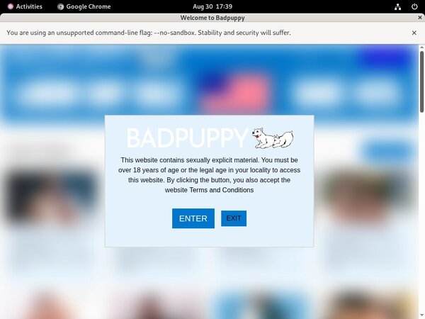 How To Get Badpuppy.com Account