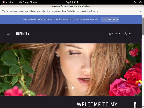 Jezanna Discount Checkout