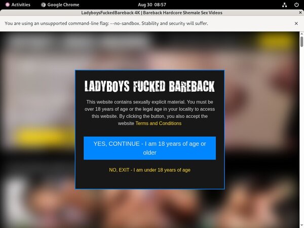 Ladyboysfuckedbareback Premium Accounts Free
