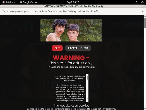 [Image: Nasty-Twinks-One-Year.jpg]