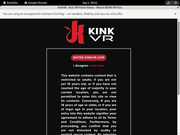 New Kink VR Discount