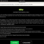 New Twinkboysparty.com