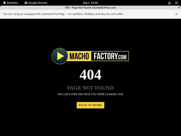 Pay Pal Machofactory Pay Pal Machofactory