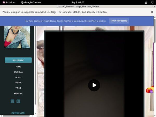 Premium Accounts Free Lizxxx30.modelcentro.com