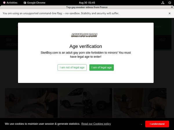 Sketboy New Password Sketboy New Password