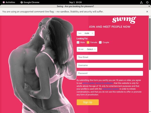 Swing.net Mit Sofort