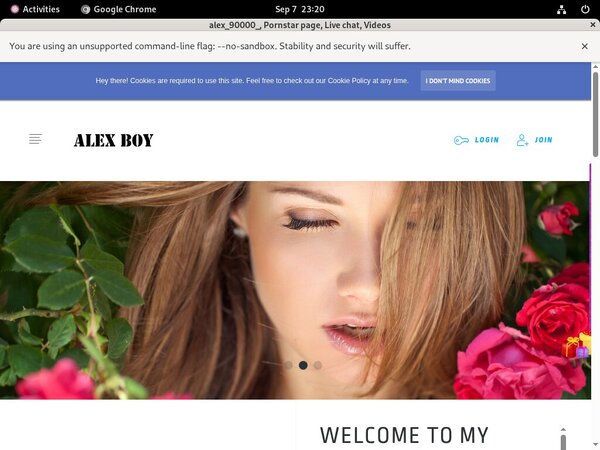 Alex90000.modelcentro.com With Westbill