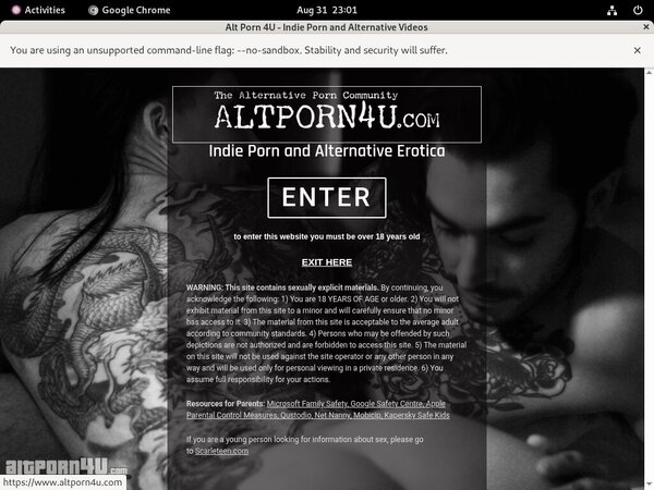 Alt Porn 4 U Xxx Movies