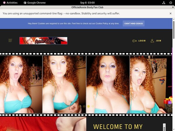 AnnieBody Password Hack