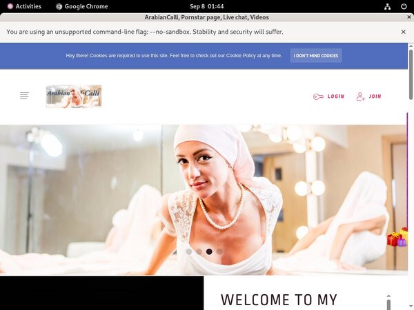 Arabiancalli.modelcentro.com Login Account