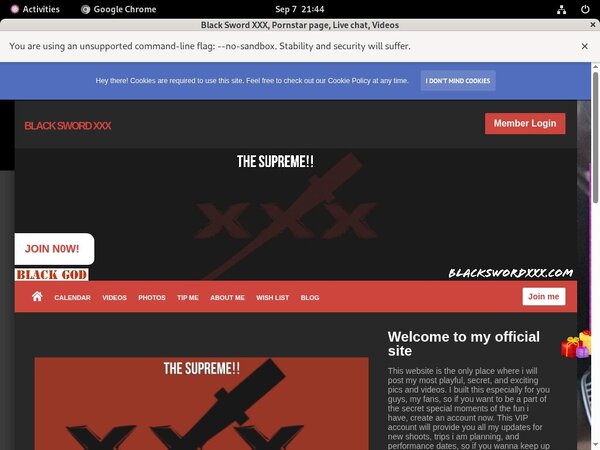 Black Sword XXX Active Password Black Sword XXX Active Password