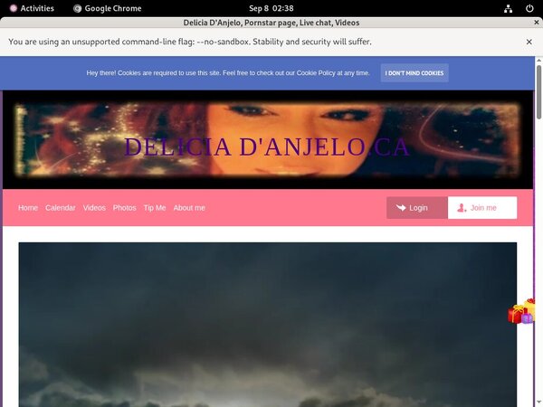 Delicia D'Anjelo Coupon Discount