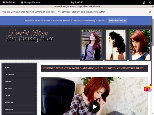 LoreleiBlum Access