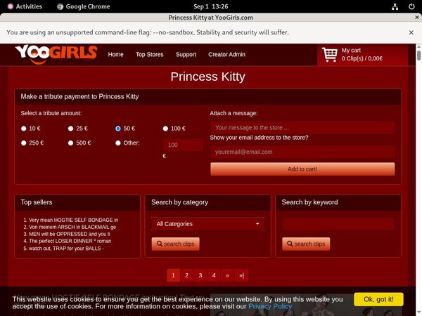 Princess Kitty Passes