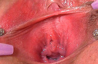 Pussymygape Gift Card s5