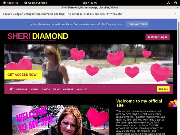 Sheri Diamond Porn Review