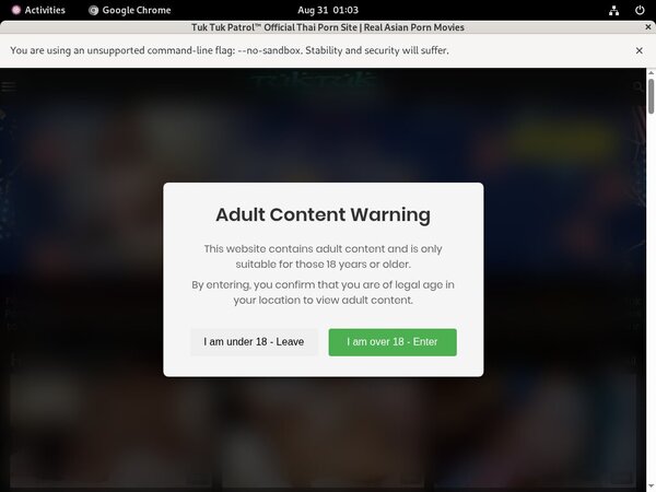 [Image: Tuktukpatrol-Webbilling.jpg]