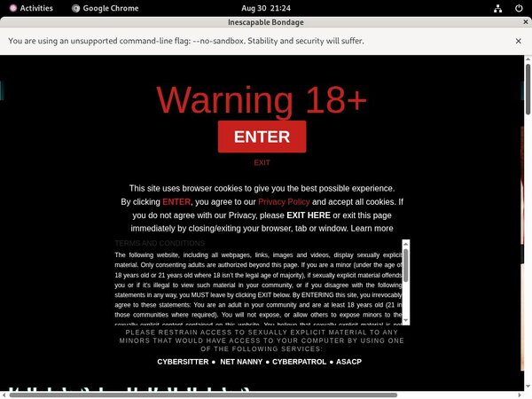 Inescapable Bondage Hd