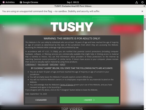 Tushy Gay Sex